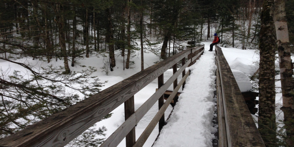 Bridge to Mt Moosilauke trailhead
